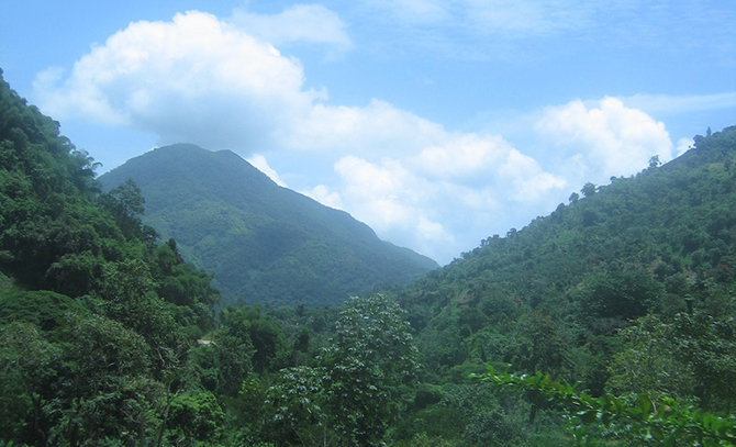 Jamaica_Blue_Mountain_670px