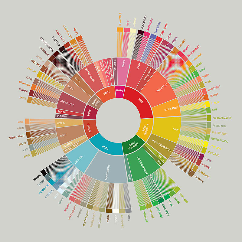 Coffee Flavor wheel