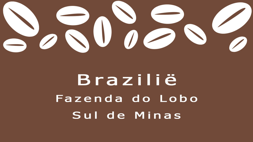 Brazilie koffiebonen sul de minas